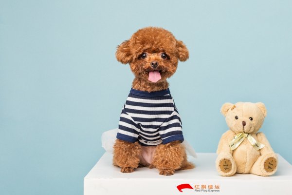 疫情期間香港商品如何轉運到遼寧阜新呢？